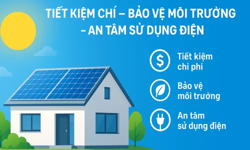 Tấm pin và LED Dây Forlife kết hợp