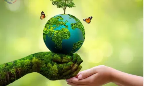 Lợi ích môi trường từ tấm pin năng lượng mặt trời