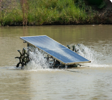 điện năng lượng mặt trời ao cá