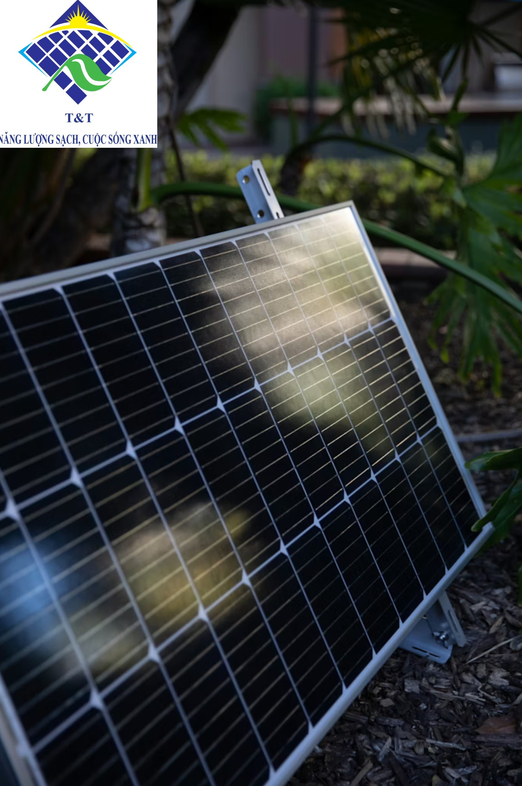 Astronergy Solar Tấm pin chất lượng cao