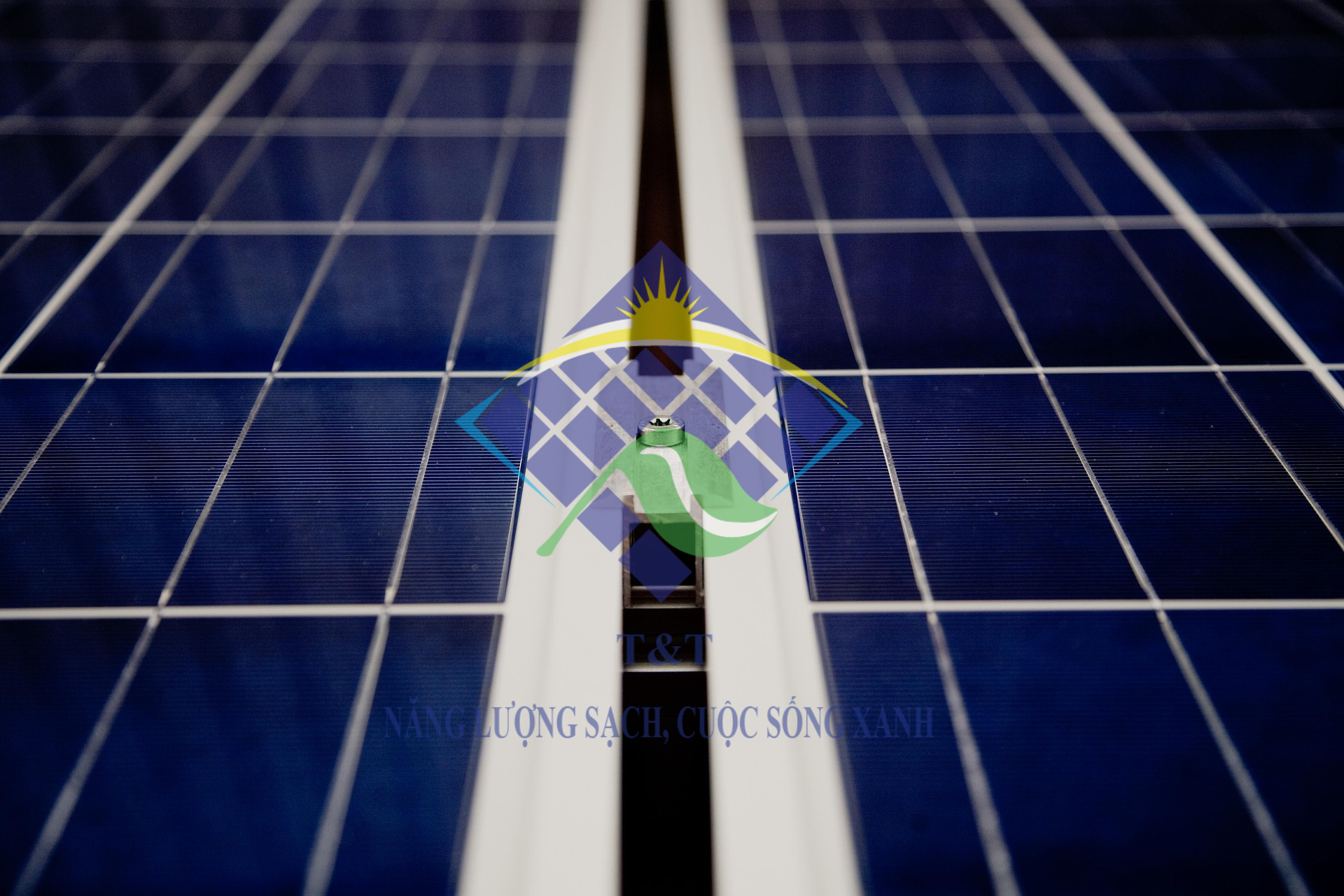 Chọn tấm pin LONGI Solar cho dự án lớn