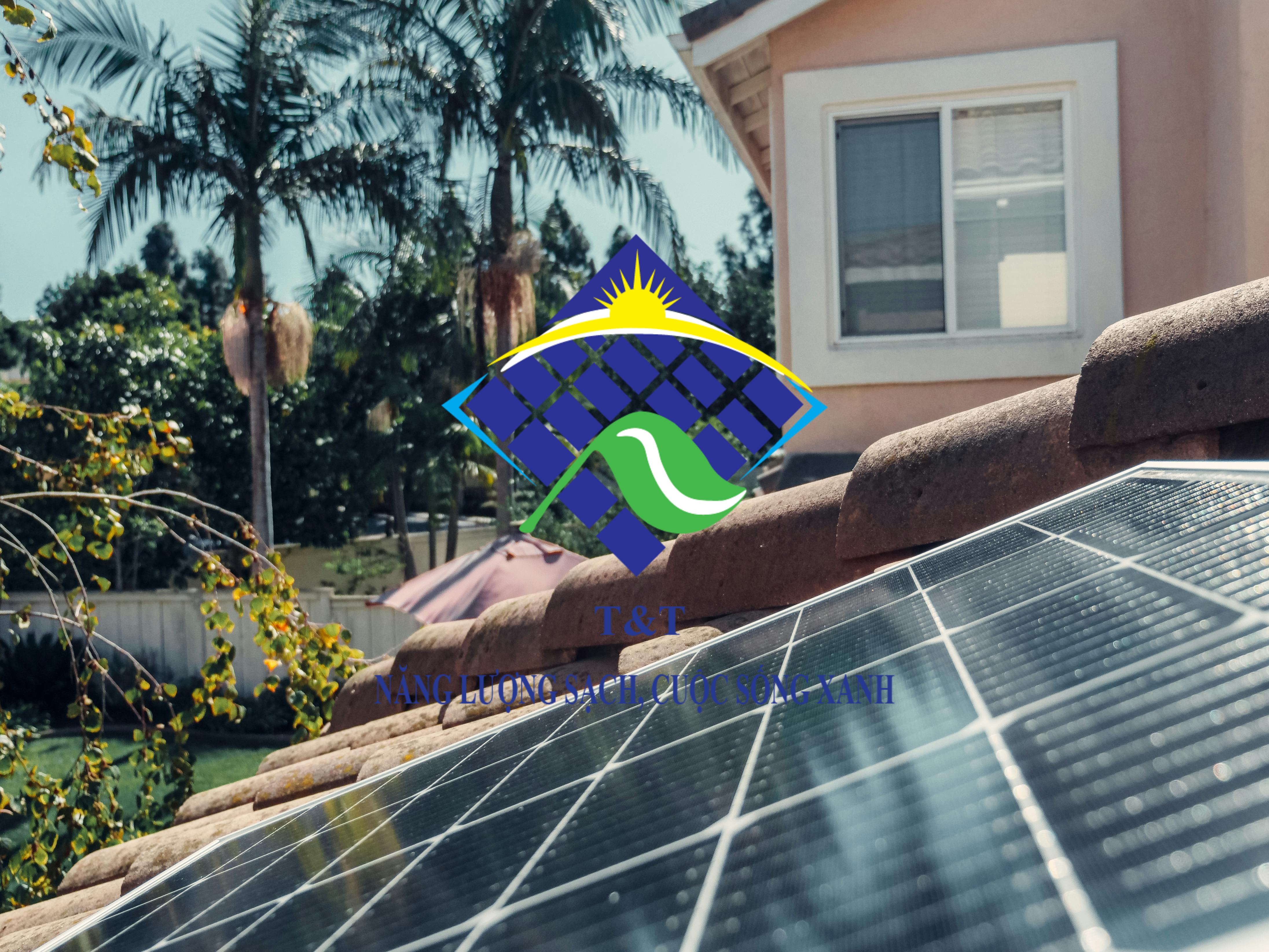 Chọn tấm pin LONGI Solar cho dự án lớn