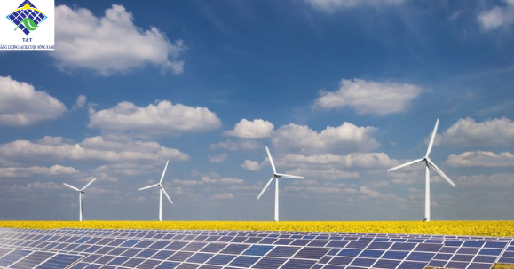 JA Solar phát triển trong ngành năng lượng tái tạo