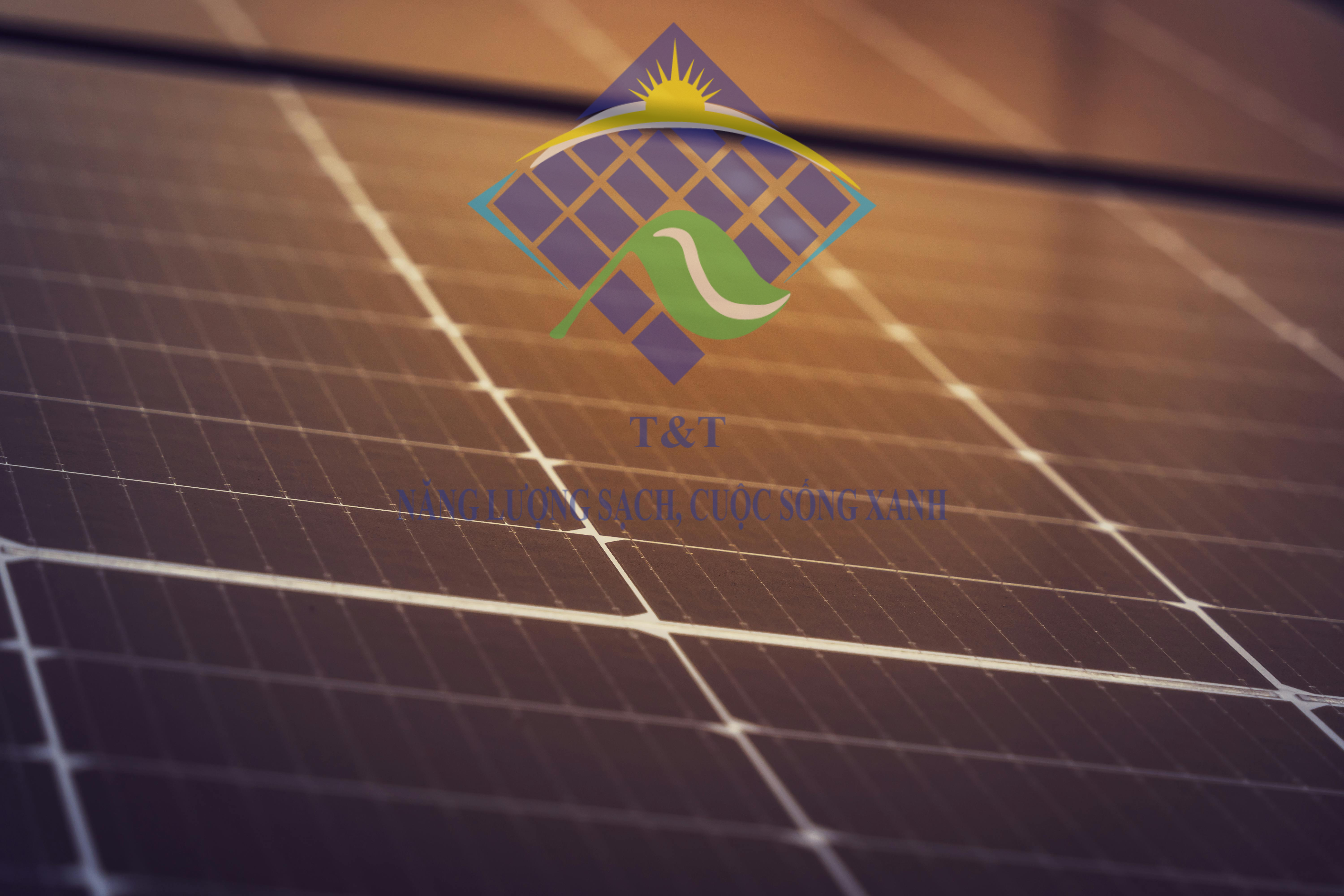 Jinko Solar: Hiệu suất vượt trội trong năng lượng mặt trời