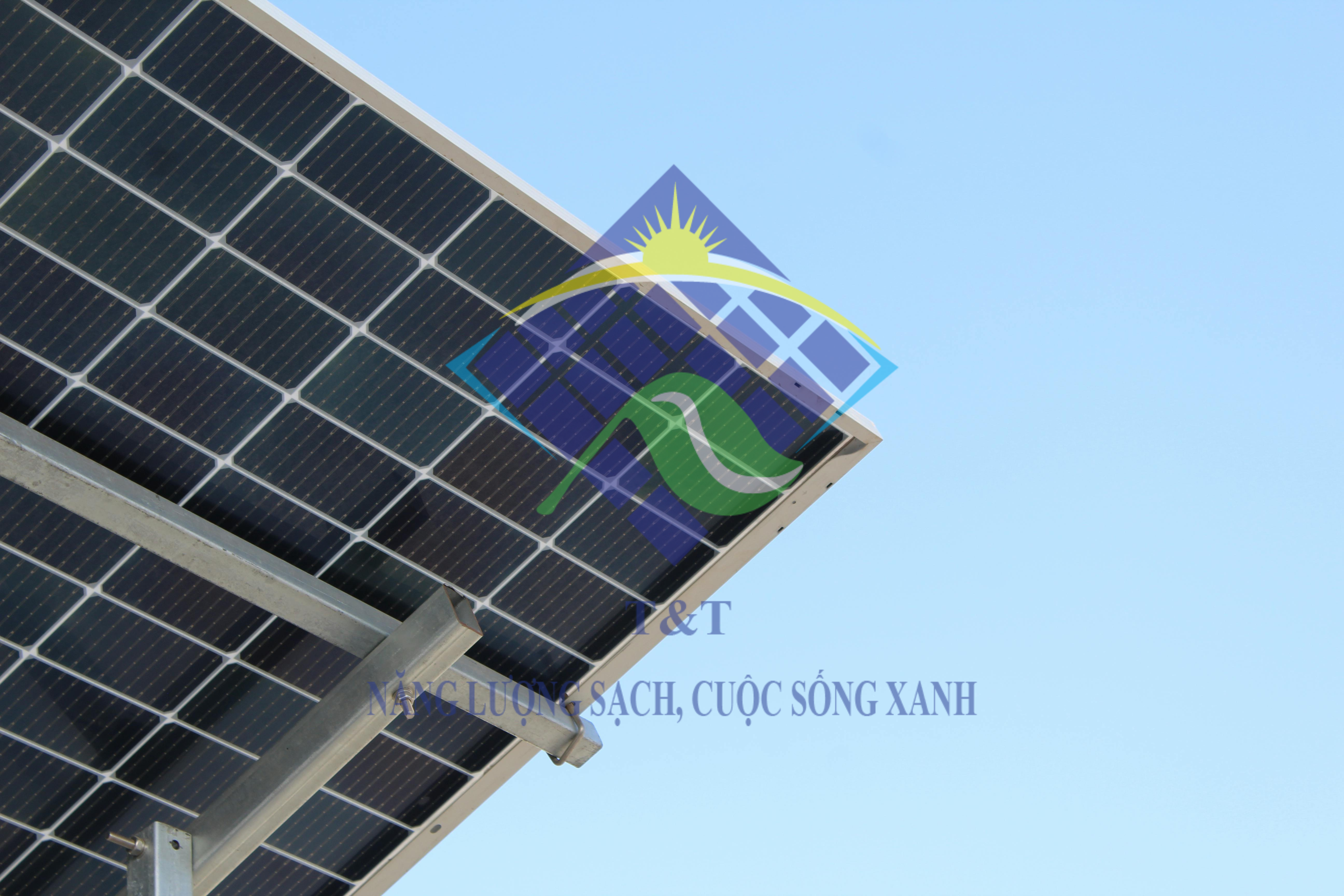 Jinko Solar: Hiệu suất vượt trội trong năng lượng mặt trời