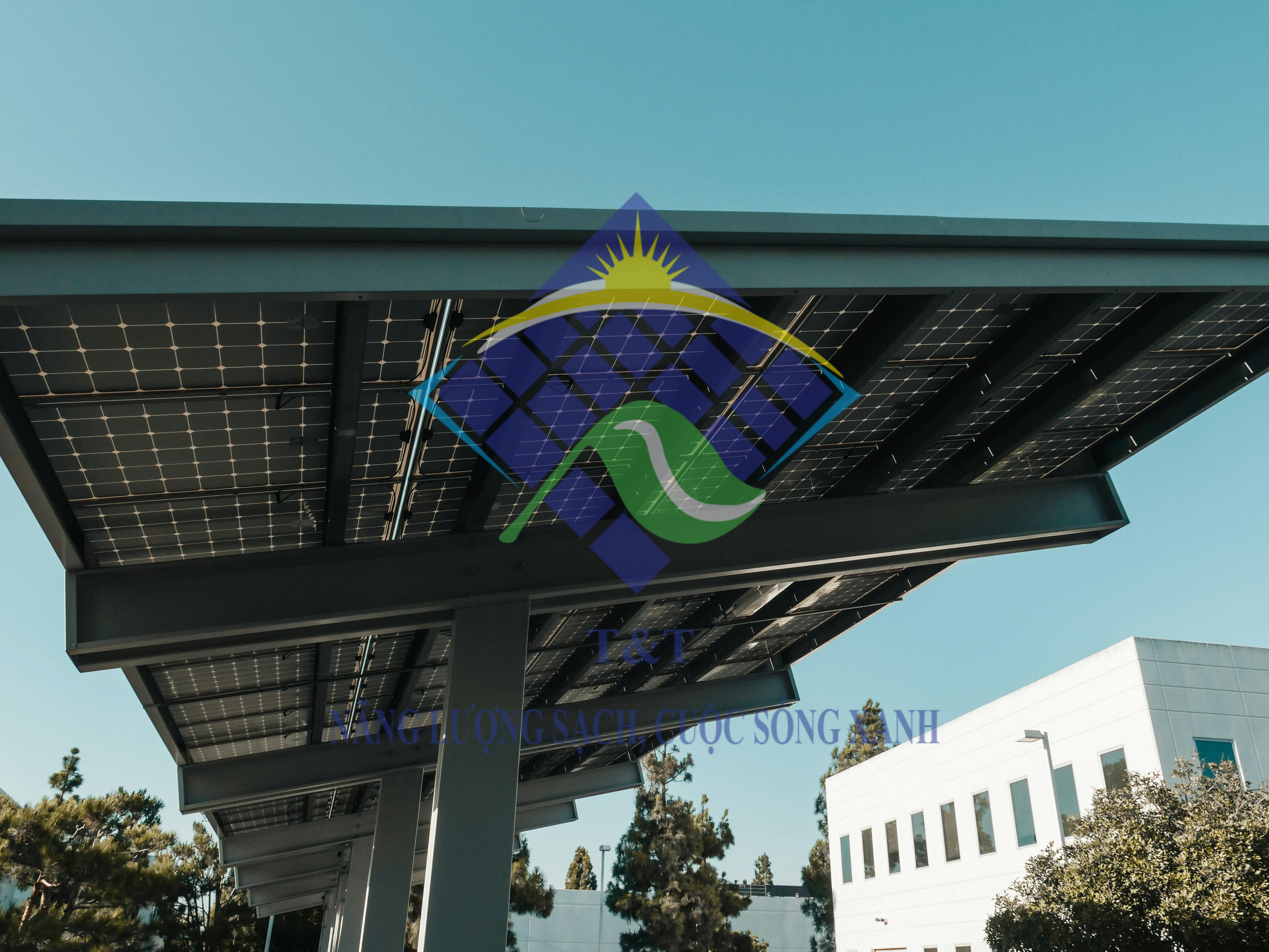 LONGI Solar và phát triển năng lượng tái tạo