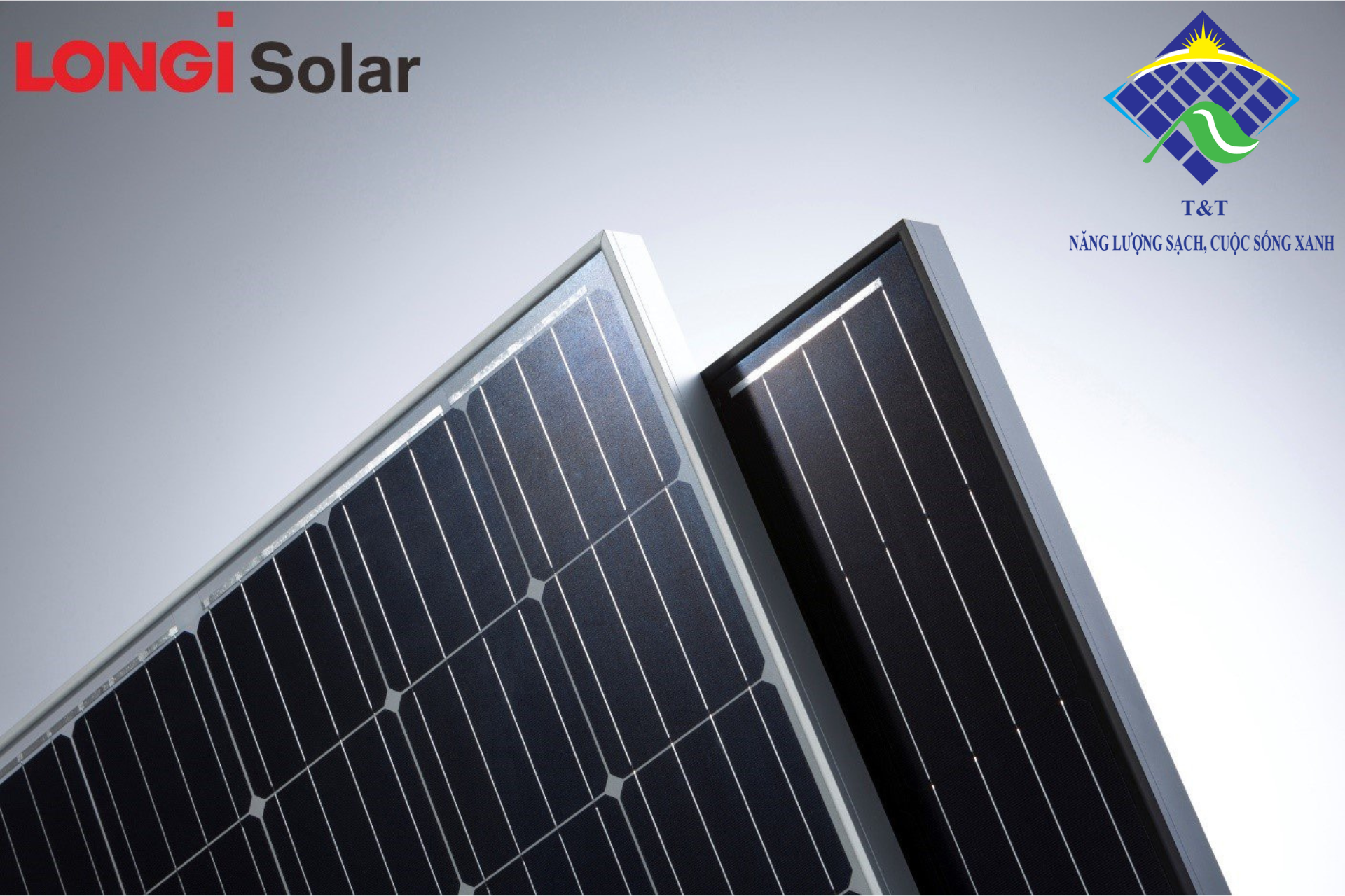 LONGI Solar và phát triển năng lượng tái tạo