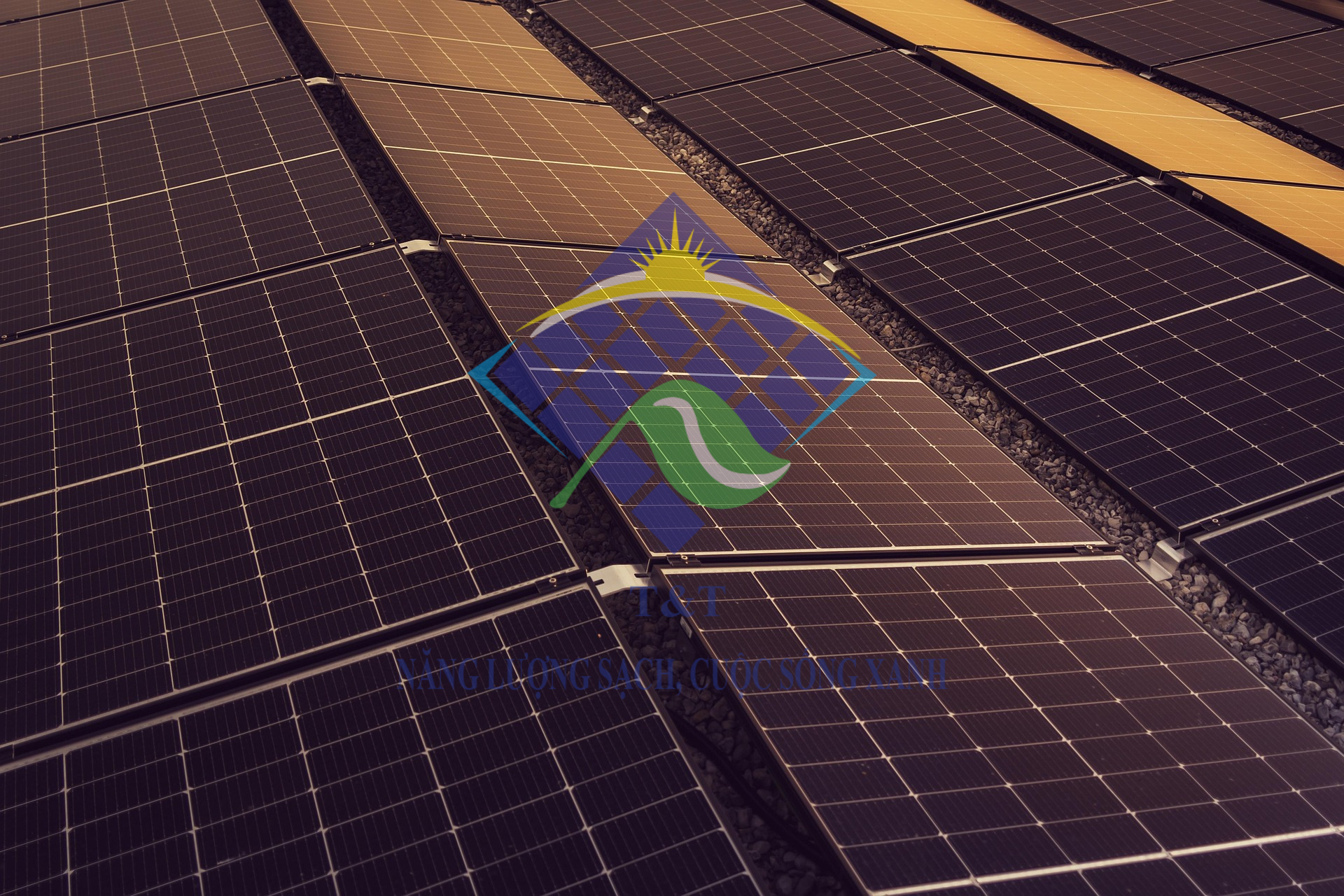 LONGI Solar và phát triển năng lượng tái tạo