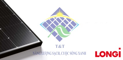 LONGI Solar: Lựa chọn tối ưu cho năng lượng mặt trời