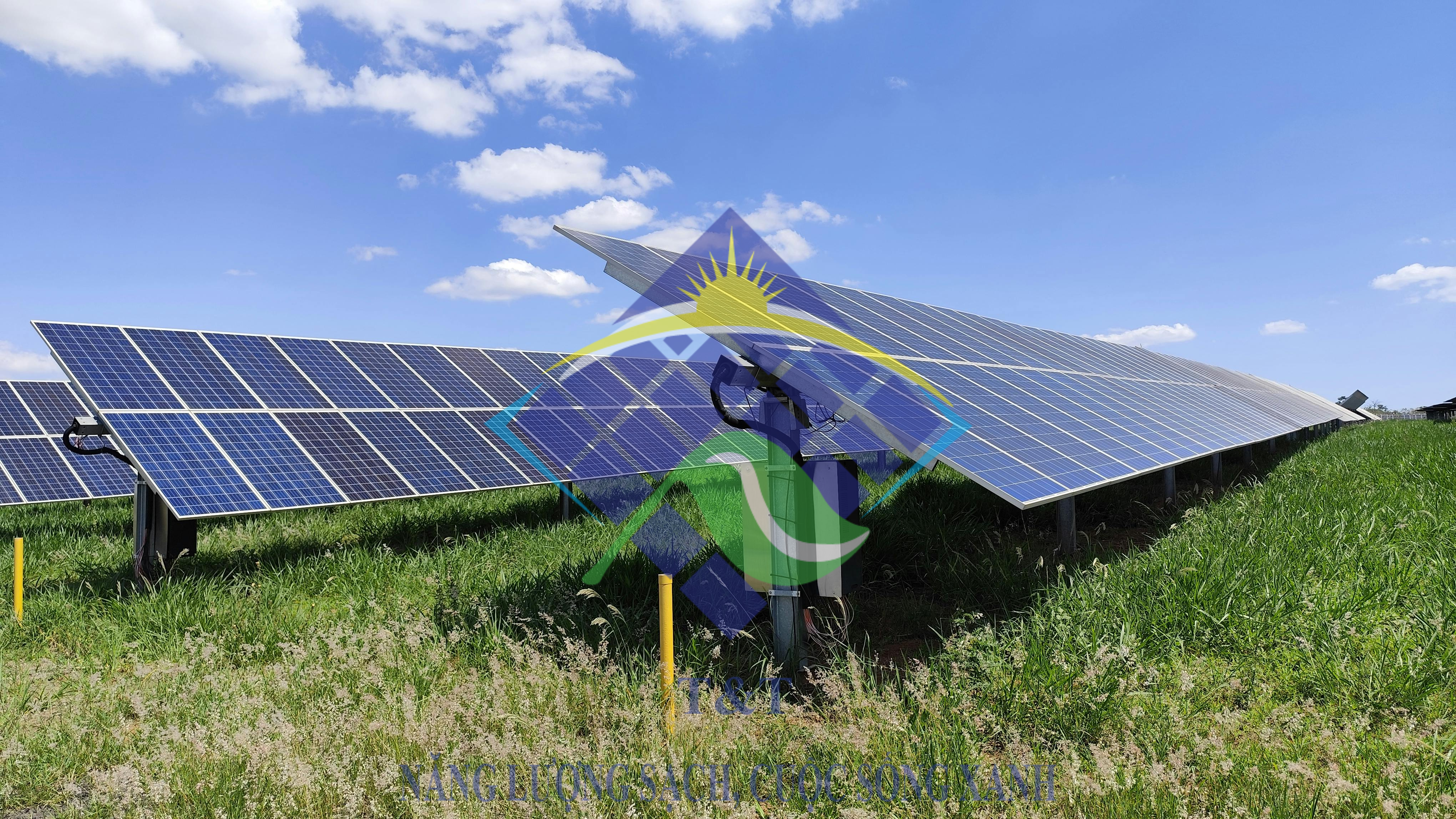 Tại sao chọn tấm pin Astronergy Solar