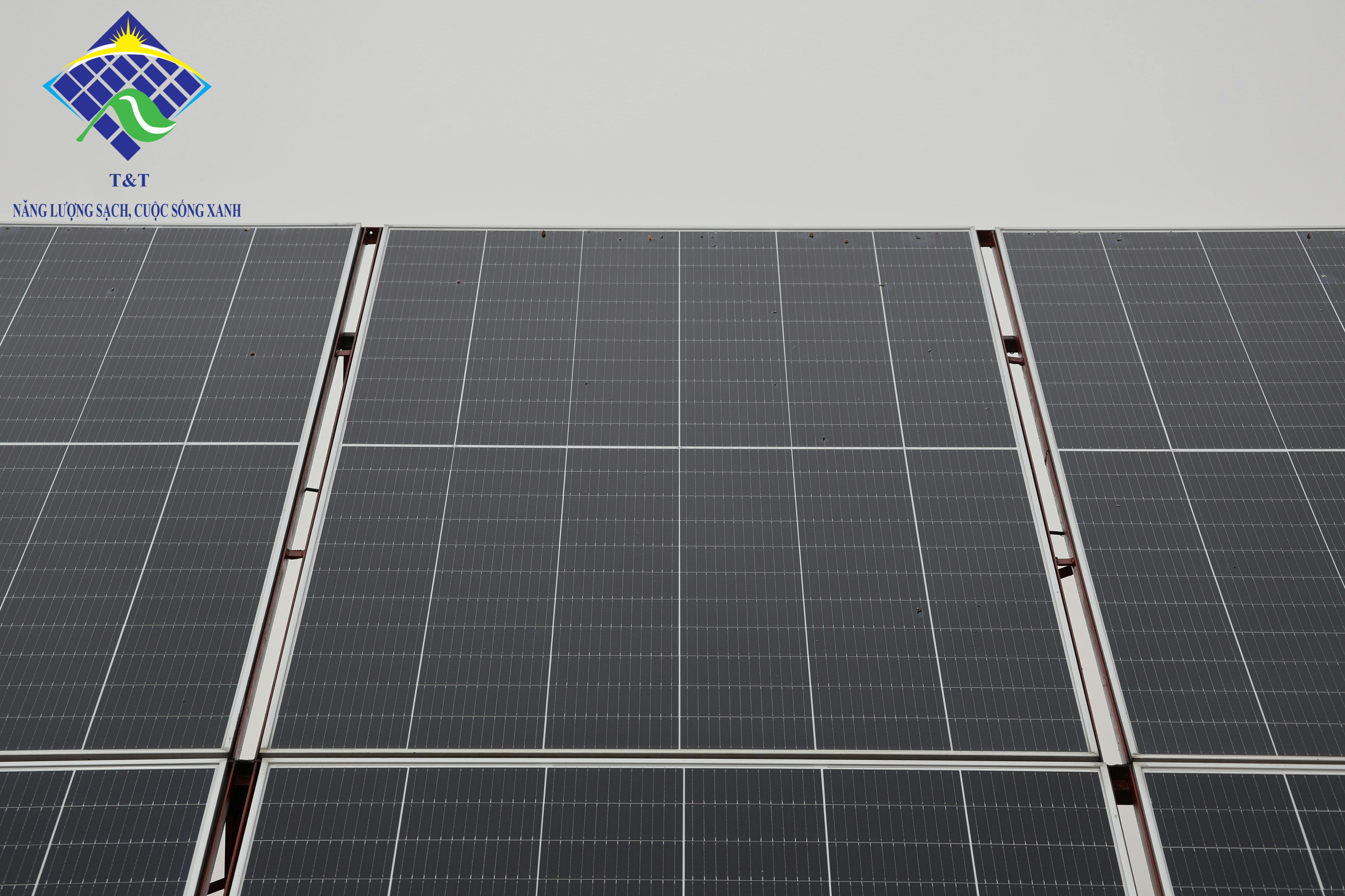 Tại sao chọn tấm pin Jinko Solar