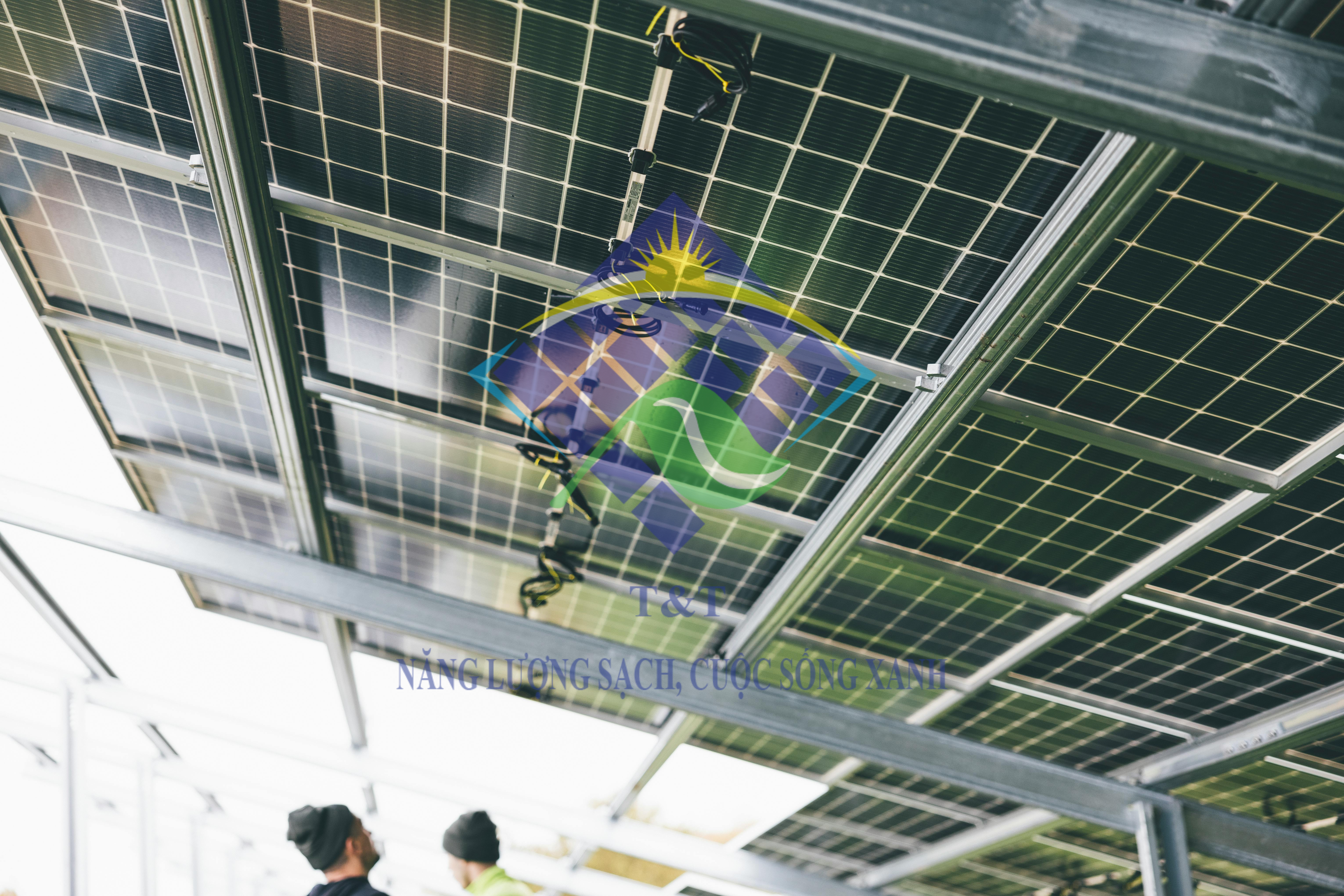 Tấm pin LONGI Solar hiệu quả cho công trình lớn