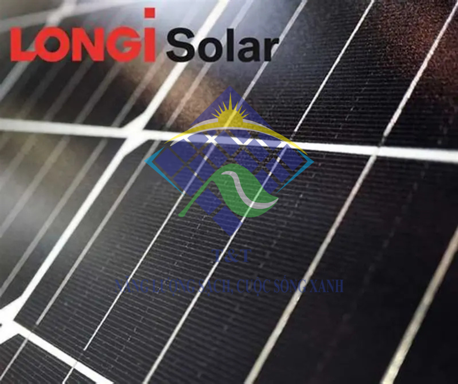 LONGI Solar và sự phát triển bền vững